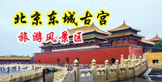 艹骚逼中国北京-东城古宫旅游风景区